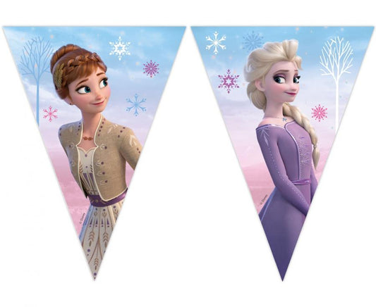 Vėliavėlių girlianda "Happy Birthday - Frozen "