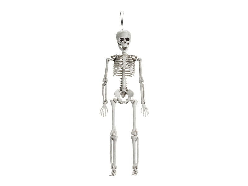 Skeleto dekoracija, 40 cm