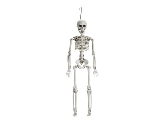 Skeleto dekoracija, 40 cm